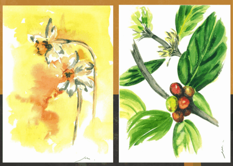 Image 0 : EXPOSITION AQUARELLES