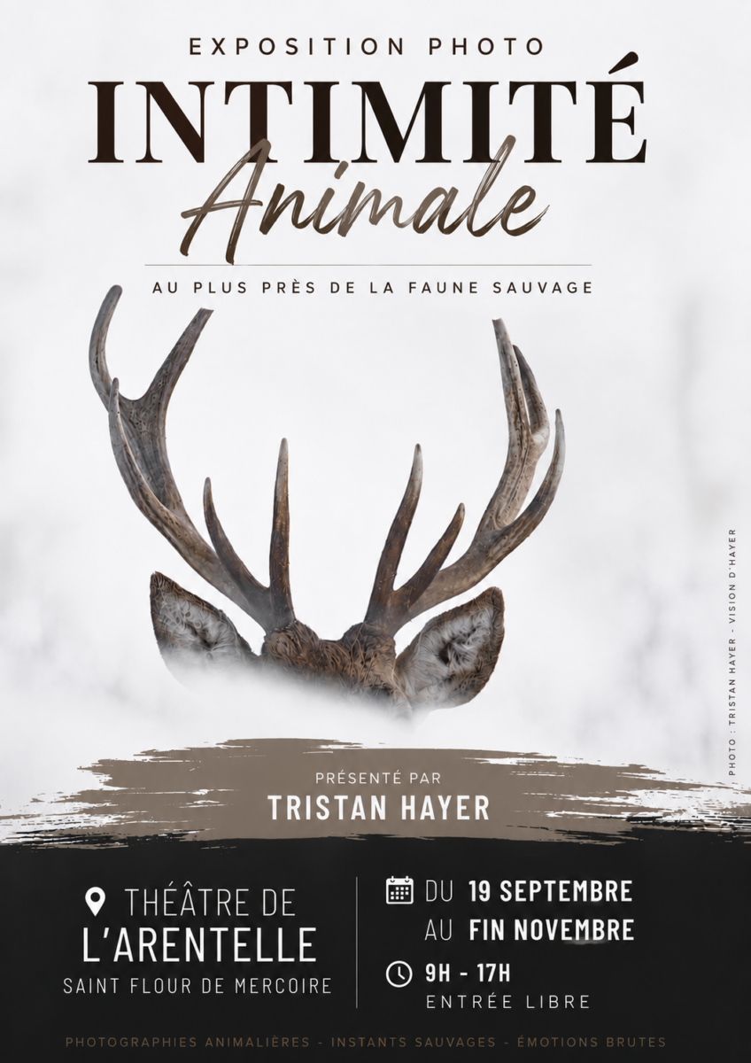 Image 5 : EXPOSITION PHOTOS - INTIMITÉ ANIMALE