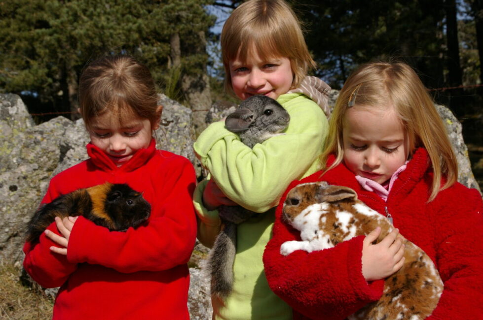 Image 3 : FERME LA TOISON D'OR