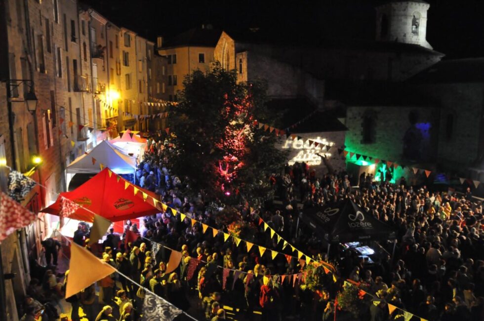 Image 2 : FESTIV'ALLIER #22
