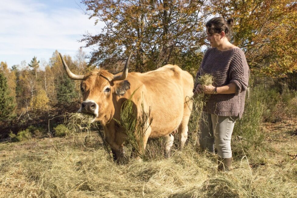Image 0 : FÊTE DE LA BIODIVERSITÉ & DU DÉVELOPPEMENT DURABLE