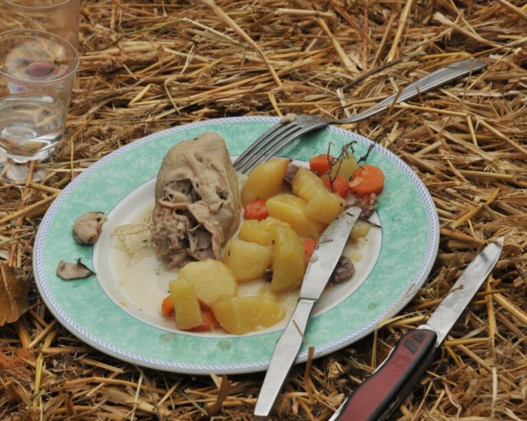 Image d'illustration de l'article