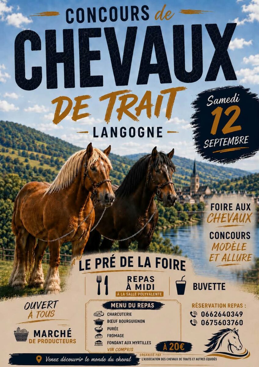 Image 2 : FOIRE AUX CHEVAUX