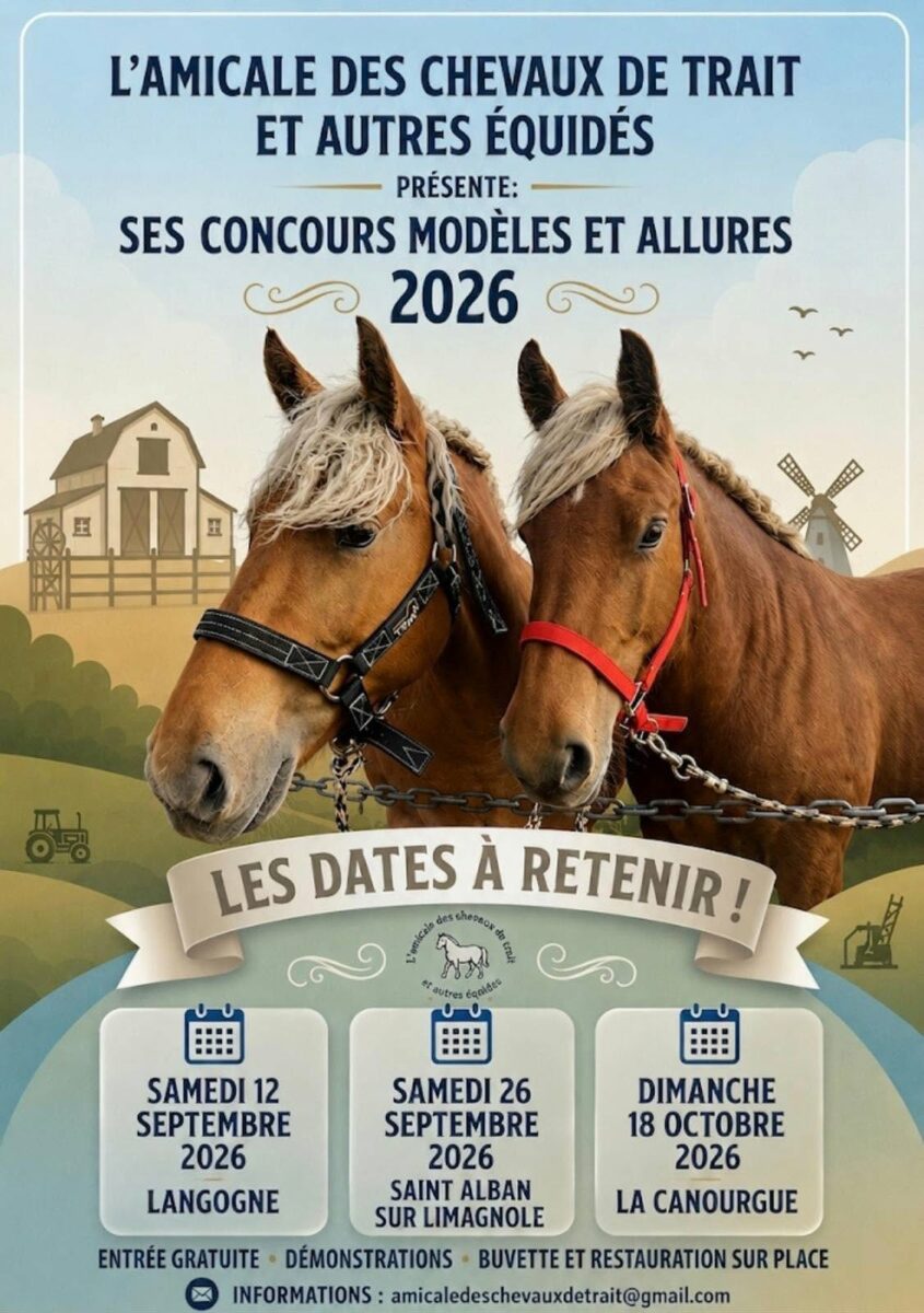 Image 3 : FOIRE AUX CHEVAUX