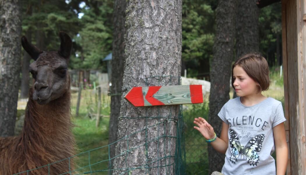 Image 1 : GITE LA TOISON D'OR