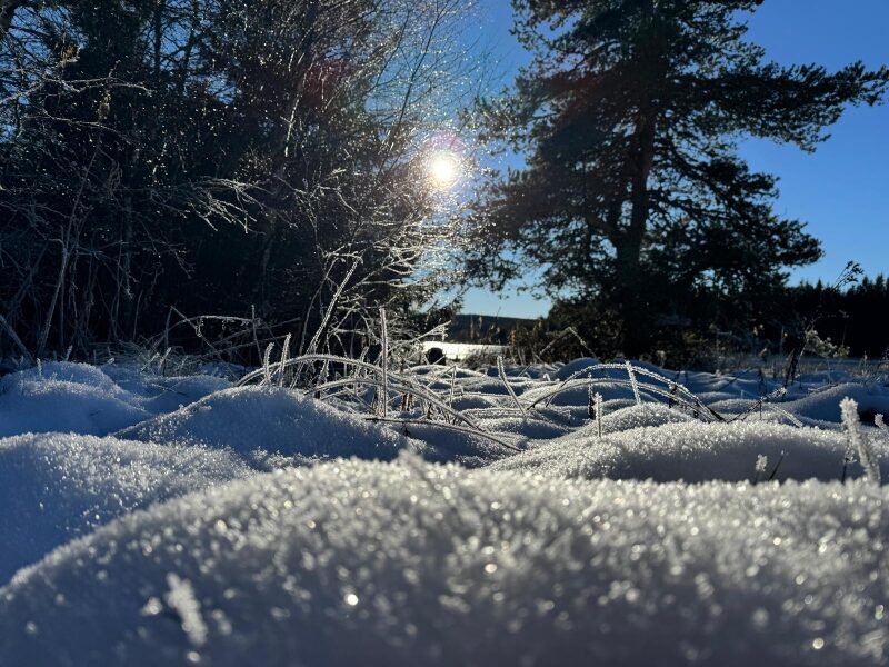 Image 1 : GÎTE LA VERDURE