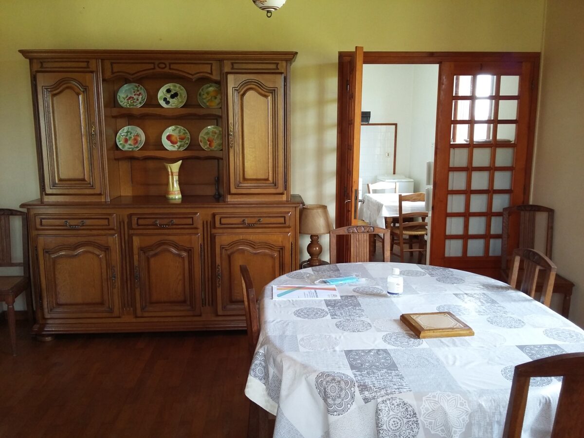 Image 4 : LES PINS