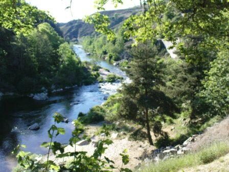 Image 4 : GORGES DE L'ALLIER