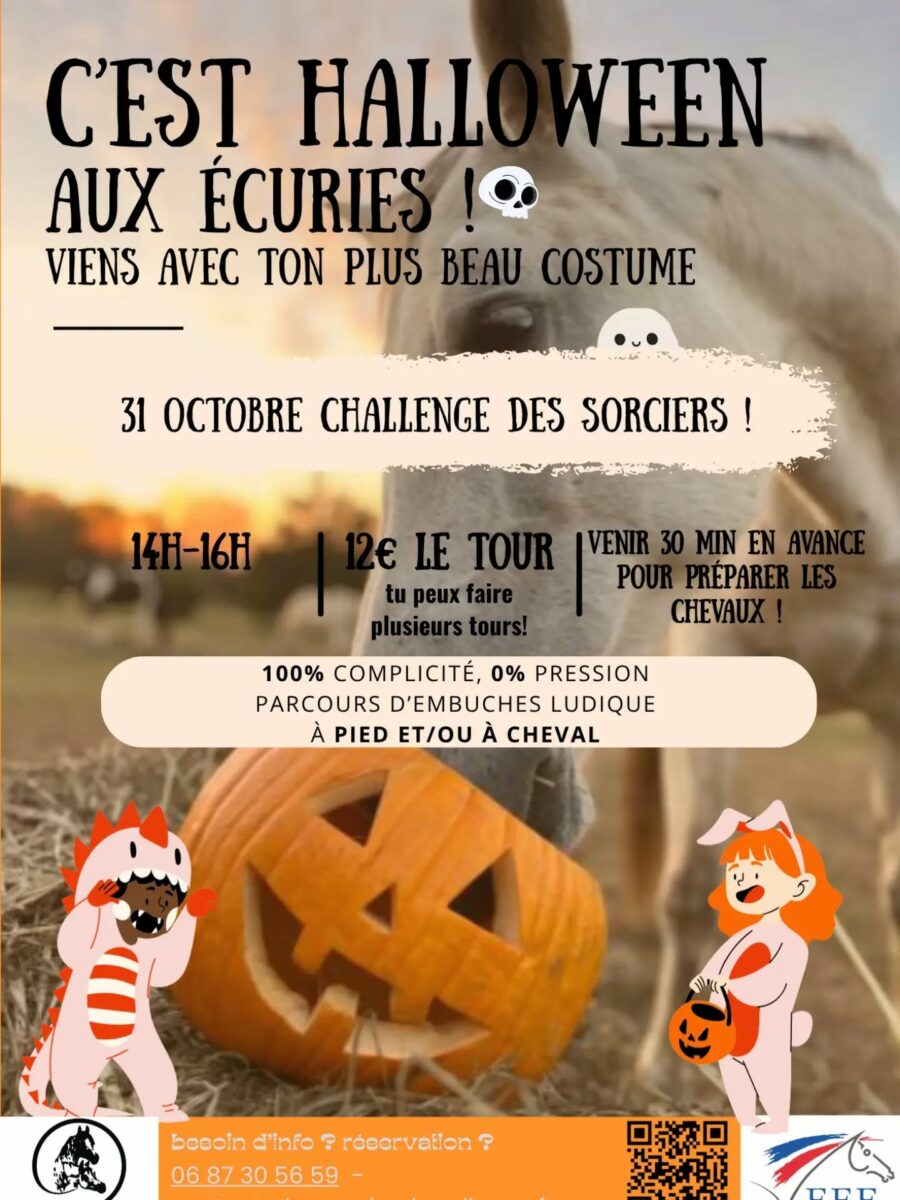 Image 3 : HALLOWEEN - LE CHALLENGE DES SORCIERS
