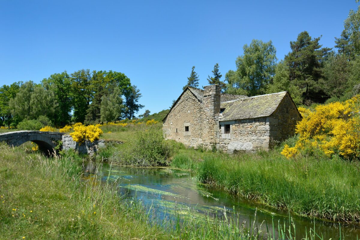 Image 2 : LE CHÂTEAU DU FORT