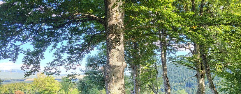 Image 1 : JEP - RANDONNÉE D'ESFAGOUX AUX CHOISINETS