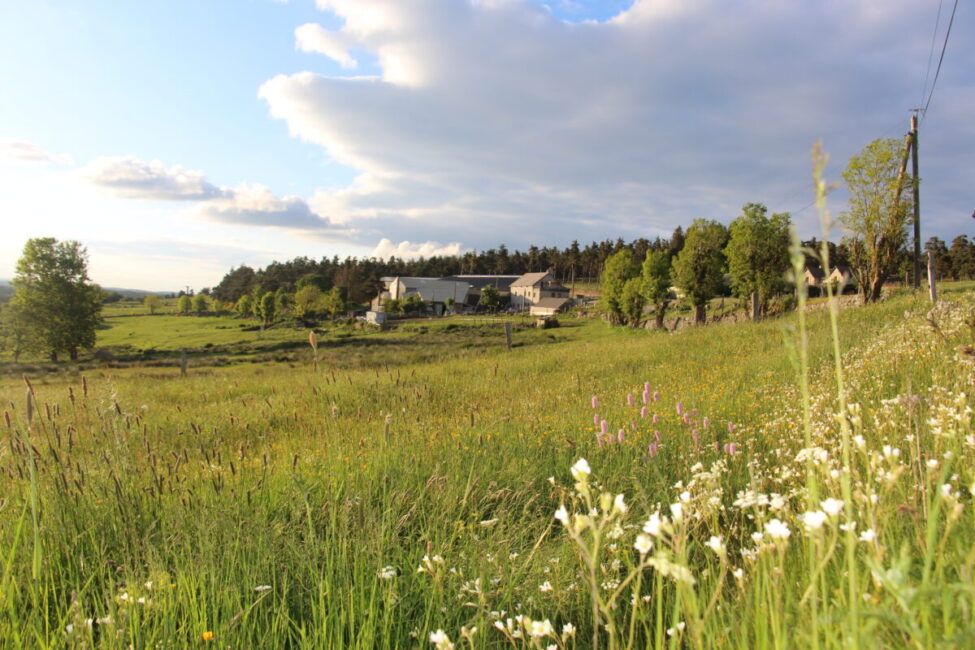 Image 1 : LA FERME ENCHANTÉE