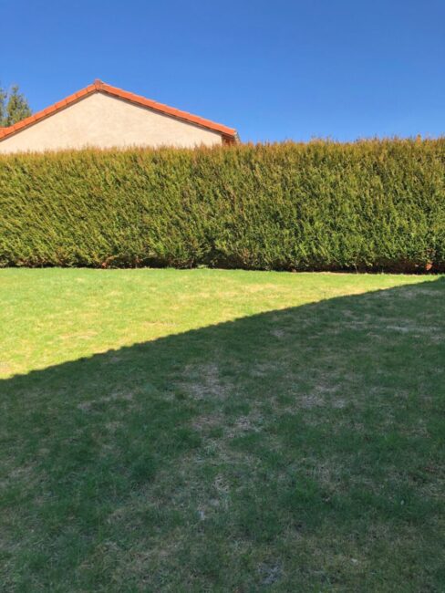 Image 2 : LA GRAN FAMILIA