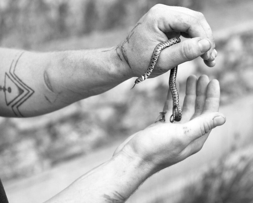 Image 0 : LA NUIT DU BAL