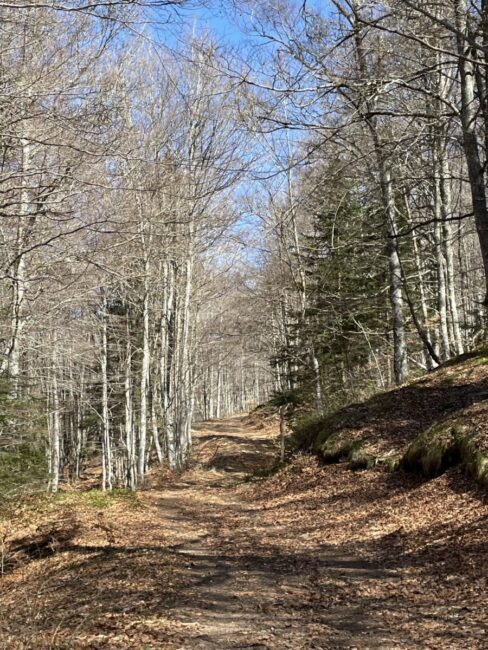 Image 1 : Le Chemin d'Esfagoux