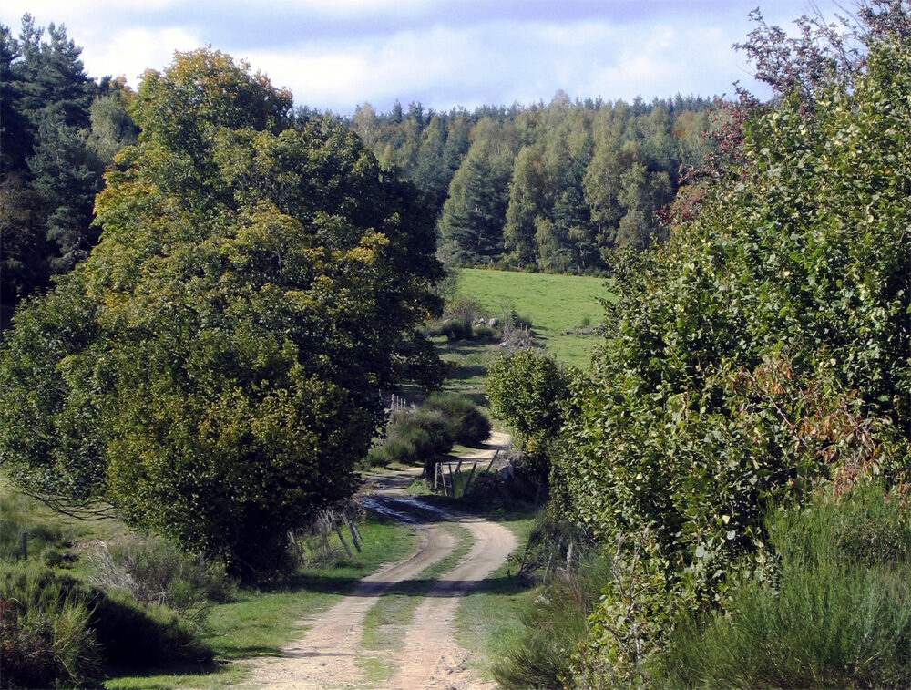 Image 2 : Le Huit de Saint Symphorien - Trail n°62