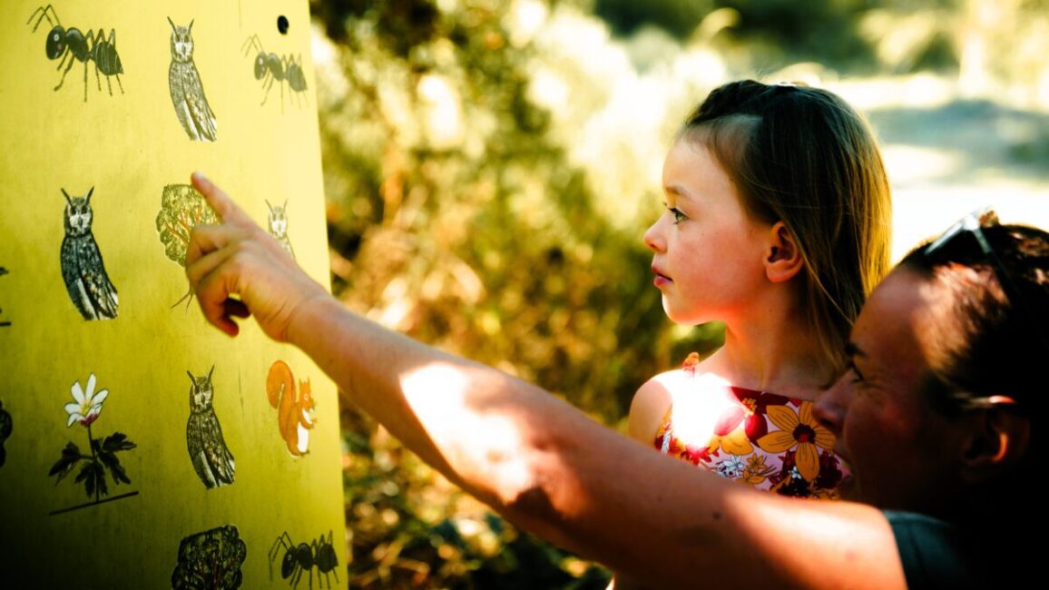 Image 1 : LE RONDIN PARC