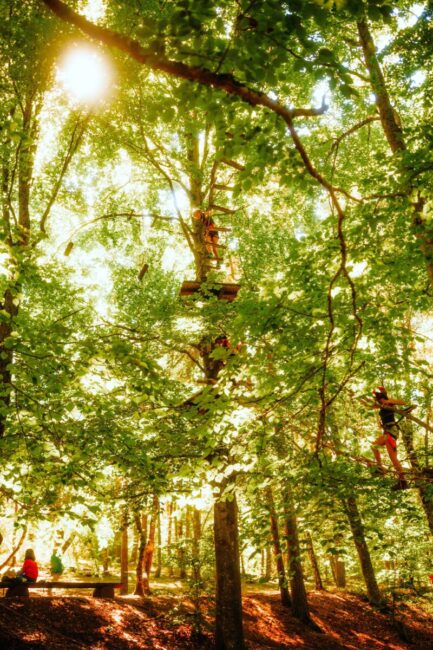 Image 4 : LE RONDIN PARC