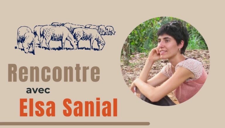 Image d'illustration de l'article