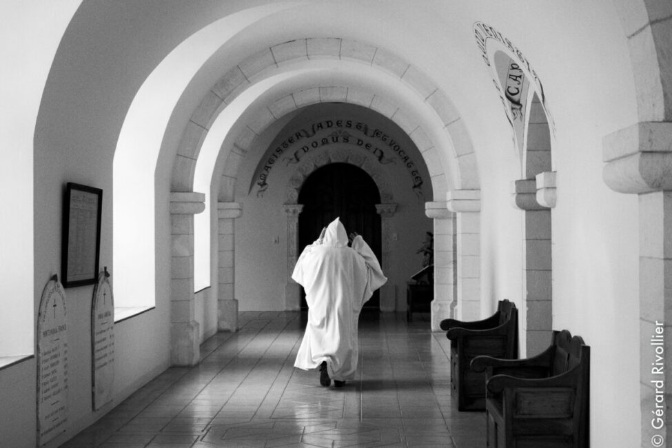 Image 0 : LES DERNIERS MOINES DES NEIGES