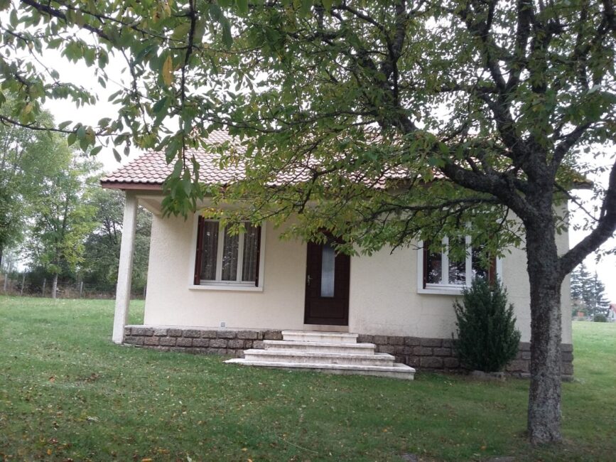 Image 0 : LES GENÊTS