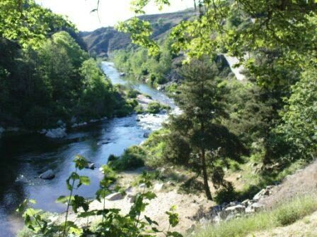 Image 4 : GORGES DE L'ALLIER