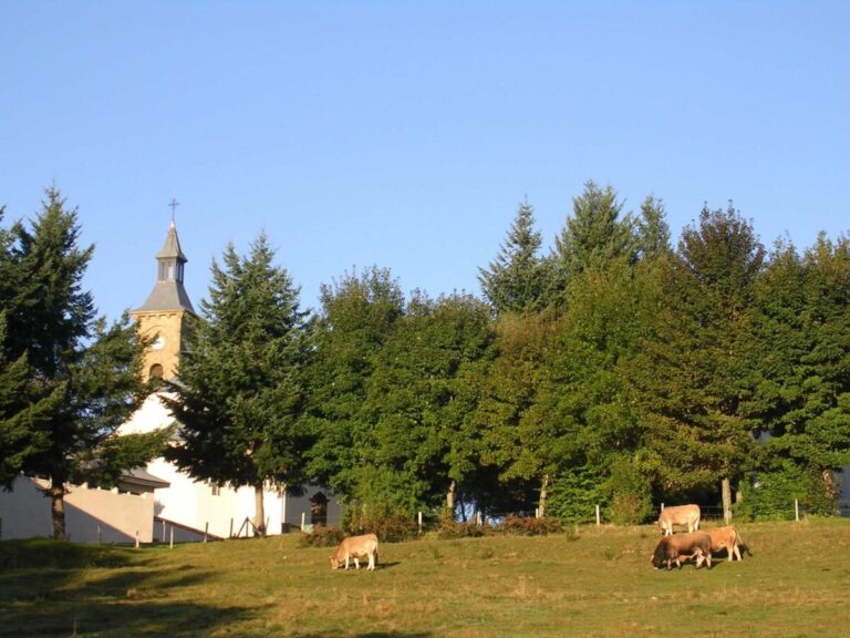 Image d'illustration de l'article