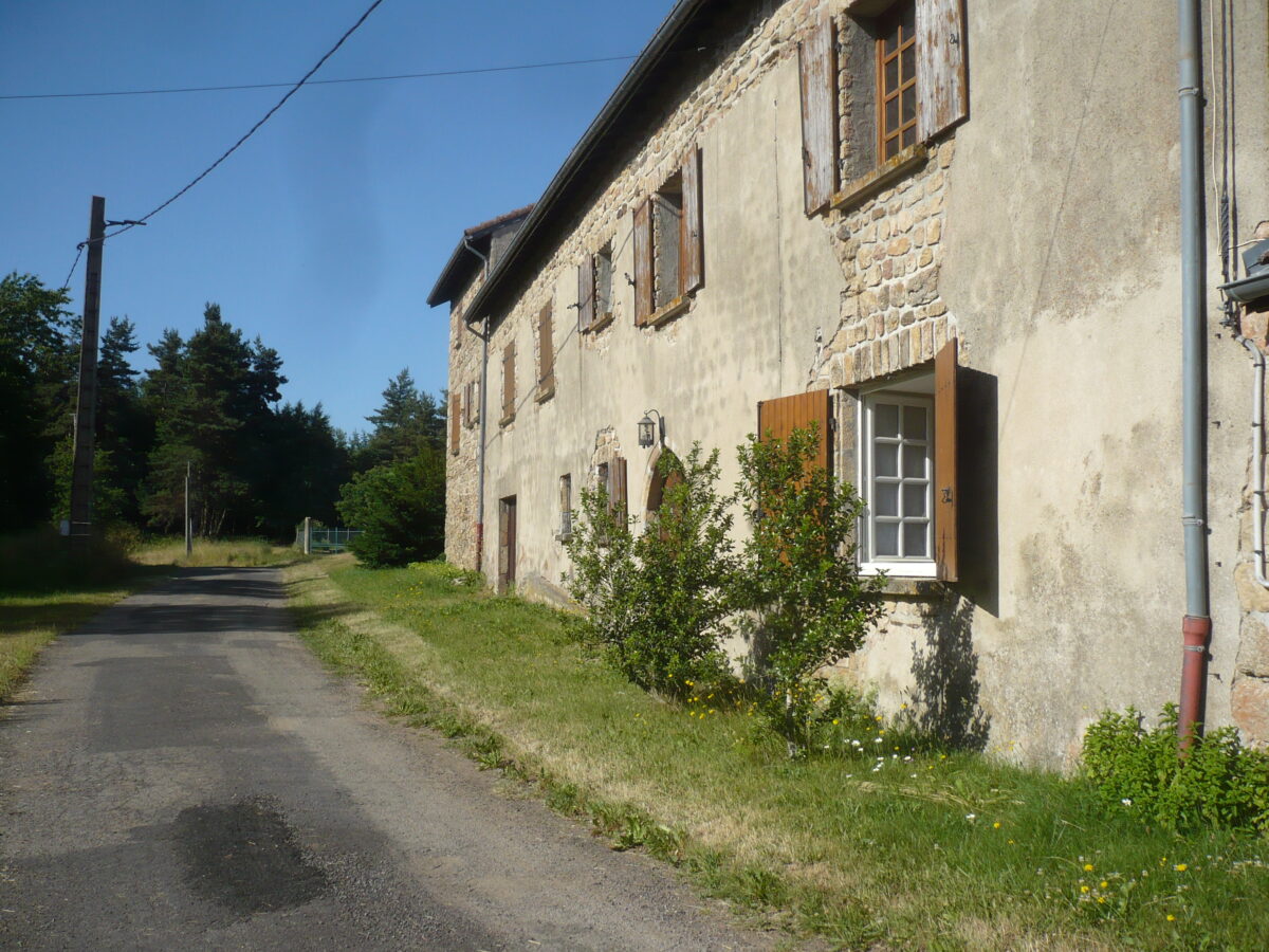 Image 2 : PANIS RENÉ