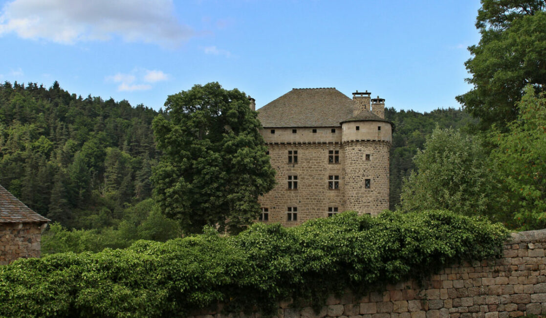 Image 1 : CHATEAU DU FORT