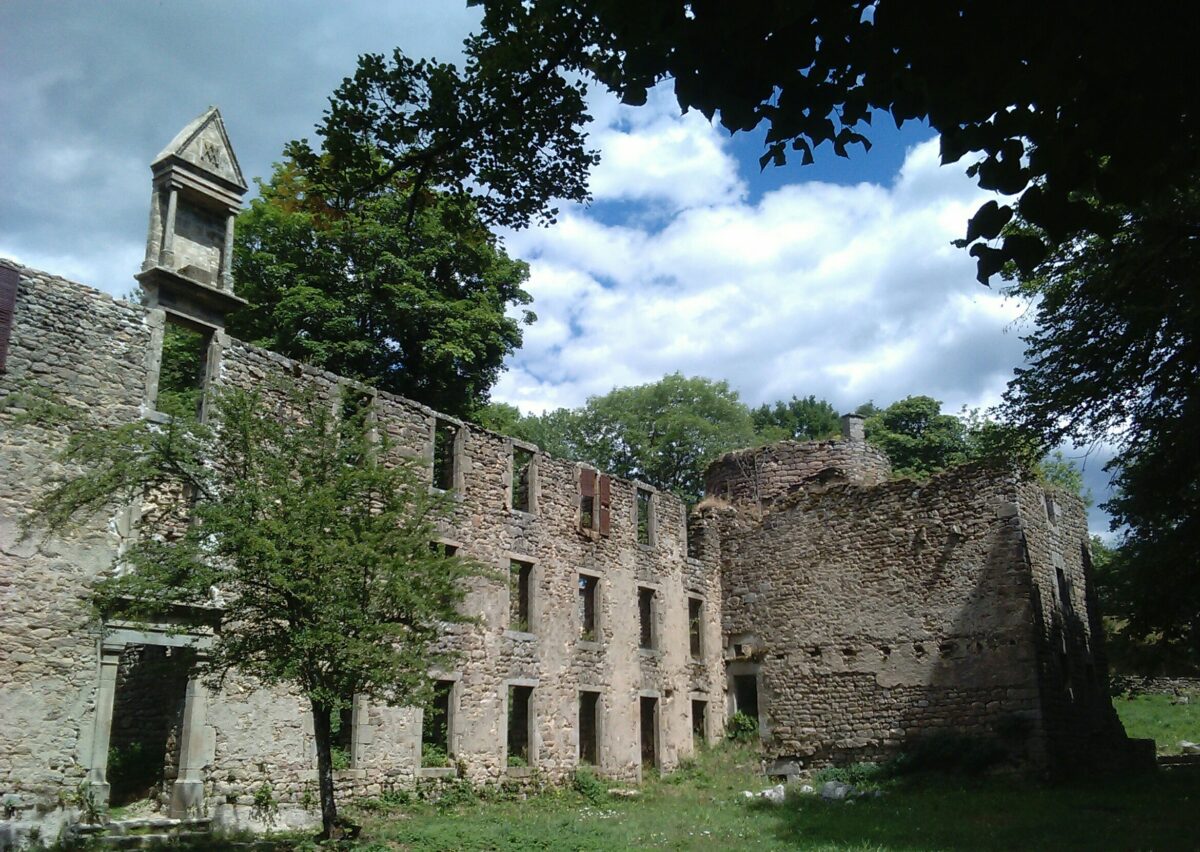 Image 5 : CHATEAU ET ANCIEN ORPHELINAT DES CHOISINETS