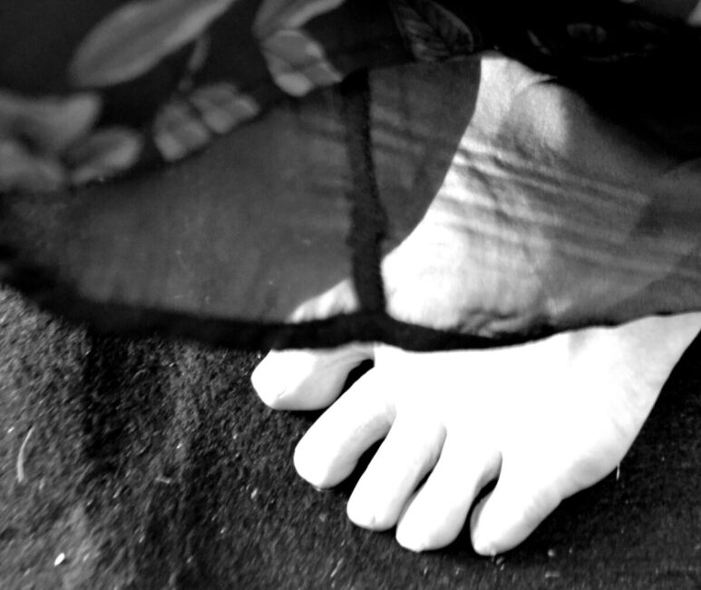 Image 0 : PEAU D'ANE