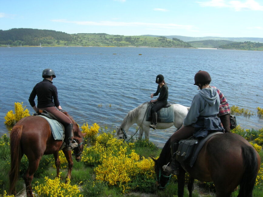 Image 1 : RENTRÉE 2025-2025 AUX ÉCURIES DE PALHÈRES