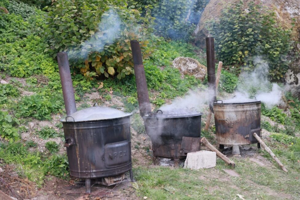 Image 2 : REPAS TÊTE DE VEAU À L'ANCIENNE