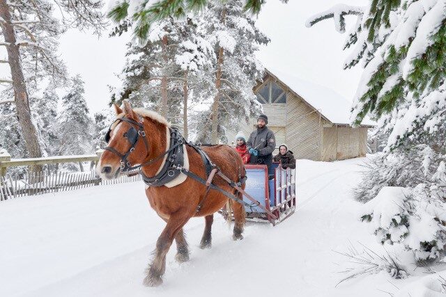 Image 4 : RESERVE DES BISONS D'EUROPE