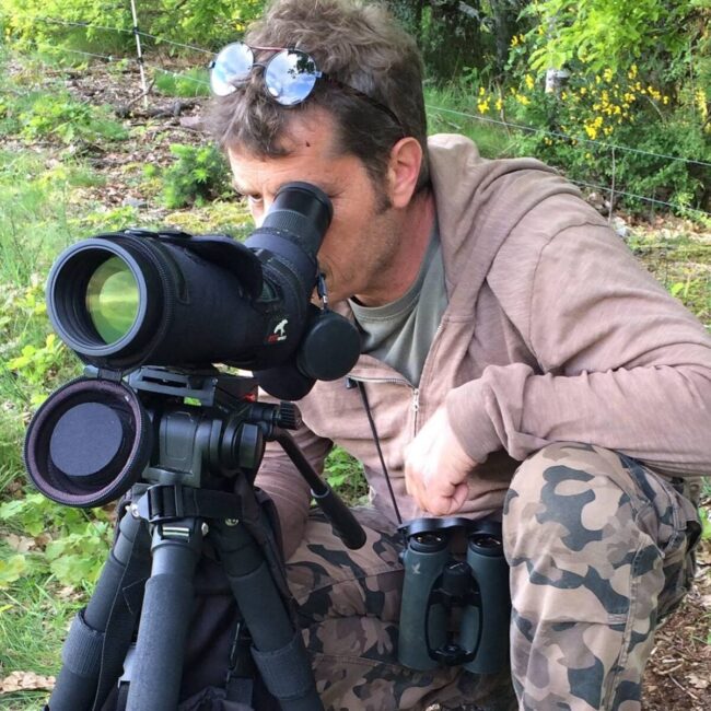 Image 0 : SORTIES NATURE - EN QUÊTE DE NATURE ET DE PLANTES COMESTIBLES - CHASTANIER