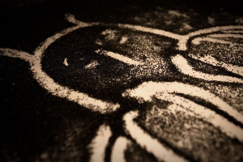 Image 1 : SOUS TERRE