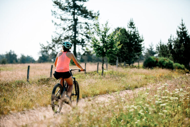 Image d'illustration de l'article