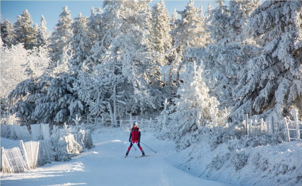 Image 3 : STATION DE PLEINE NATURE DES BOUVIERS