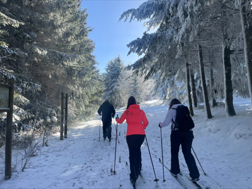 Image 4 : STATION DE PLEINE NATURE DES BOUVIERS