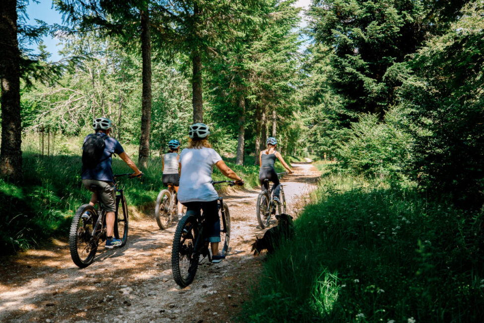 Image 4 : STATION DE PLEINE NATURE DES BOUVIERS